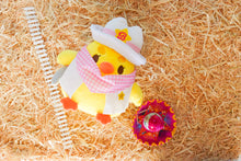 Load image into Gallery viewer, Cowboy Yema the Duck Plushie
