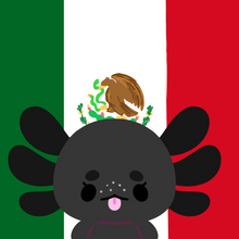 Load image into Gallery viewer, Team Mexico Buttons