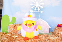 Load image into Gallery viewer, Cowboy Yema the Duck Plushie