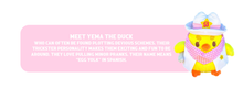 Load image into Gallery viewer, Cowboy Yema the Duck Plushie