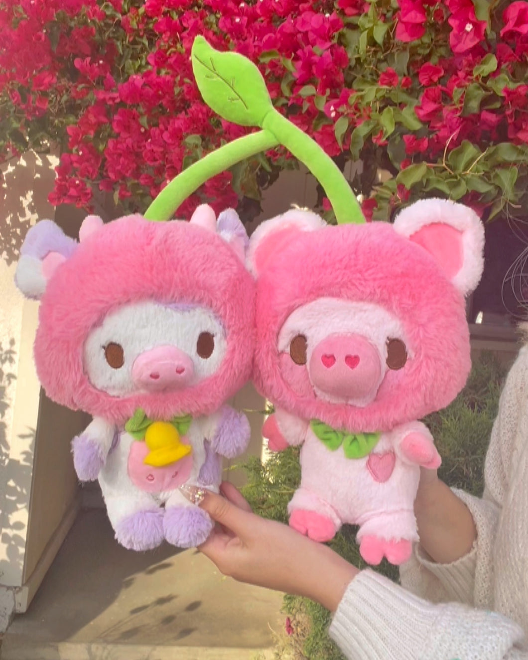 Cherry Jolene and Biscuit Plushies